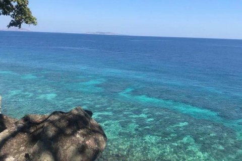 81000m2 Land in Labuan Bajo, West Manggarai, Indonesia No. 8861 11