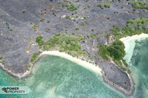 81000m2 Land in Labuan Bajo, West Manggarai, Indonesia No. 8861 5