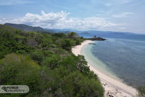 81000m2 Land in Labuan Bajo, West Manggarai, Indonesia No. 8861 3