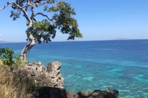 81000m2 Land in Labuan Bajo, West Manggarai, Indonesia No. 8861 12