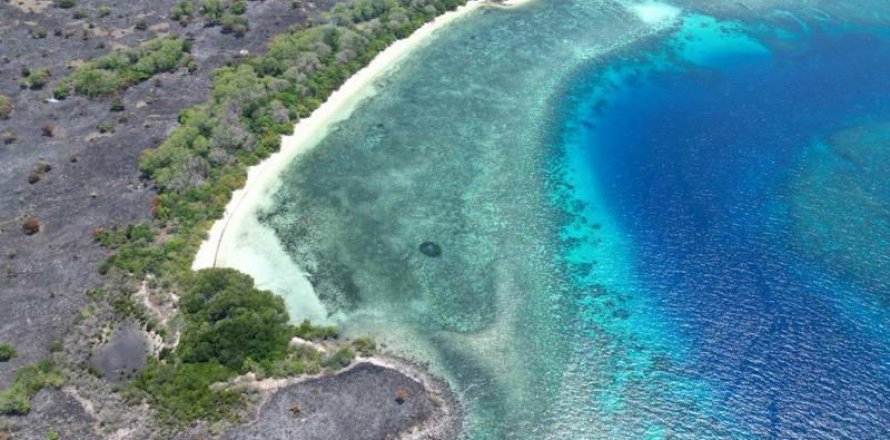 81000m2 Land in Labuan Bajo, West Manggarai, Indonesia No. 8861