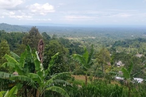 Land in Tabanan, Indonesia No. 13531 3