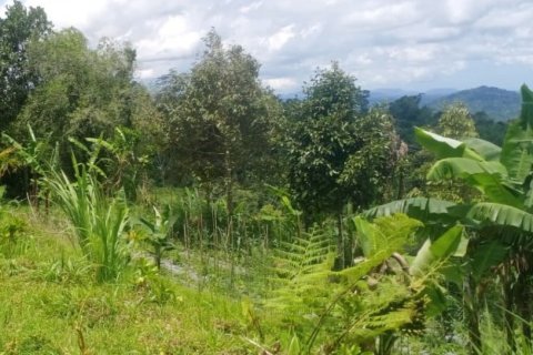 Land in Tabanan, Indonesia No. 13531 2