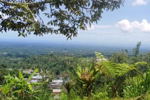 Land in Tabanan, Indonesia No. 13531