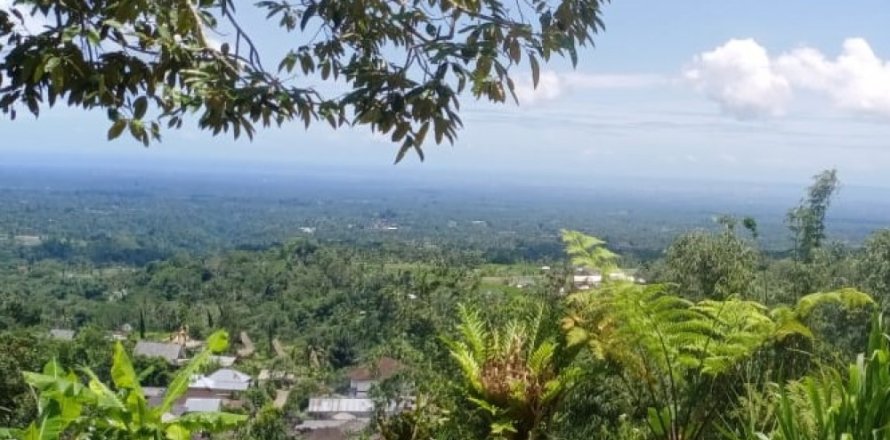 Land in Tabanan, Indonesia No. 13531