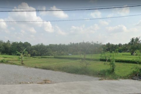 Land in Tabanan, Indonesia No. 13533 2