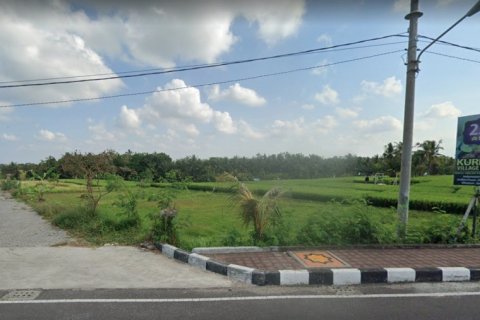 Land in Tabanan, Indonesia No. 13533