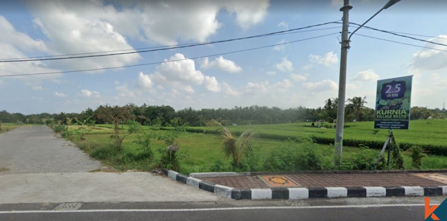 Land in Tabanan, Indonesia No. 13533