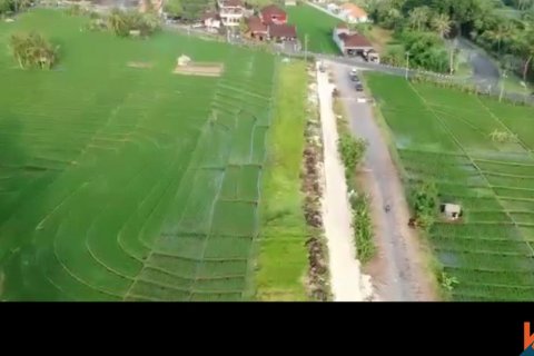 Land in Tabanan, Indonesia No. 13533 6