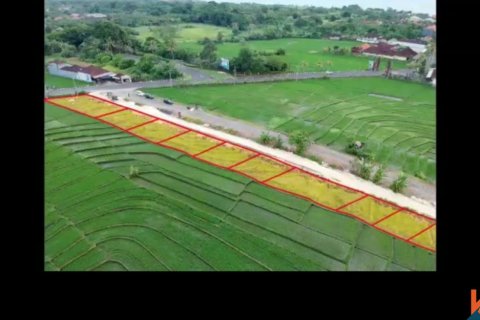 Land in Tabanan, Indonesia No. 13533 5