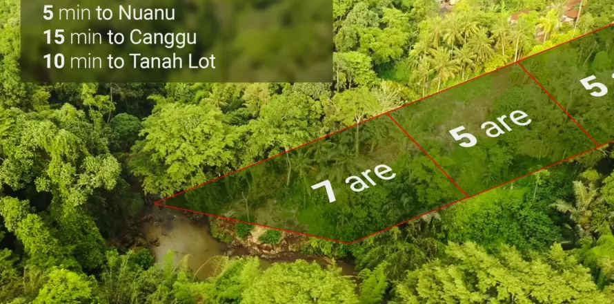 Land in Tabanan, Indonesia No. 13496