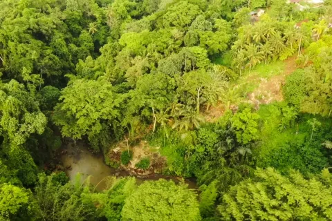 Land in Tabanan, Indonesia No. 13496 4