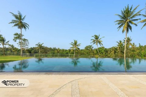4 bedrooms Villa in Ubud, Gianyar, Indonesia No. 9010 12