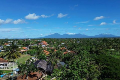 4 bedrooms Villa in Ubud, Gianyar, Indonesia No. 9010 17