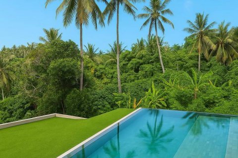 4 bedrooms Villa in Ubud, Gianyar, Indonesia No. 9010 6