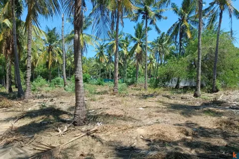 Land in Central Lombok, Indonesia No. 10990