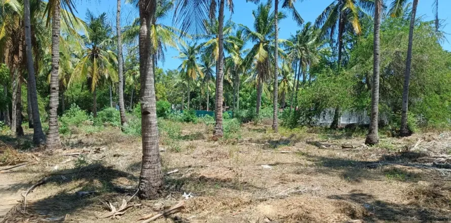 Land in Central Lombok, Indonesia No. 10990