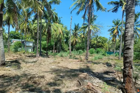 Land in Central Lombok, Indonesia No. 10990 6