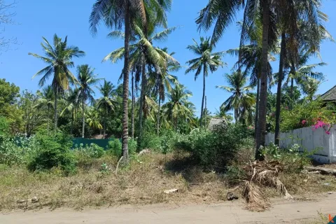 Land in Central Lombok, Indonesia No. 10990 3