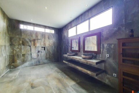 4 bedrooms Villa in Badung, Indonesia No. 10996 23