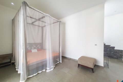 4 bedrooms Villa in Badung, Indonesia No. 10996 17