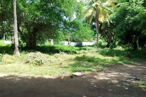 Land in Central Lombok, Indonesia No. 10991 3