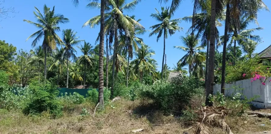 Land in Central Lombok, Indonesia No. 10991