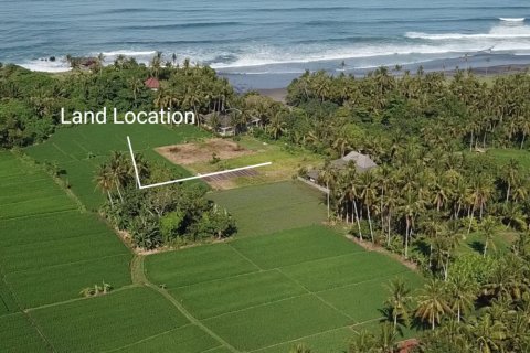 Land in Tabanan, Indonesia No. 11505 2