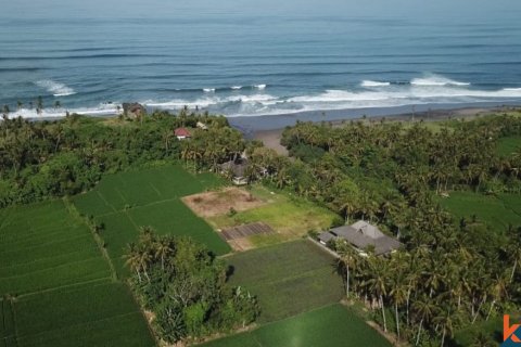 Land in Tabanan, Indonesia No. 11505 5