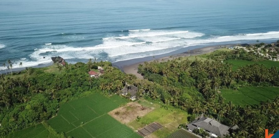 Land in Tabanan, Indonesia No. 11505