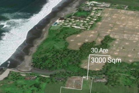 Land in Tabanan, Indonesia No. 11505 4