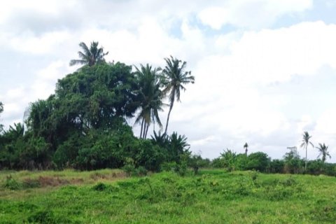 Land in Tabanan, Indonesia No. 11505 6