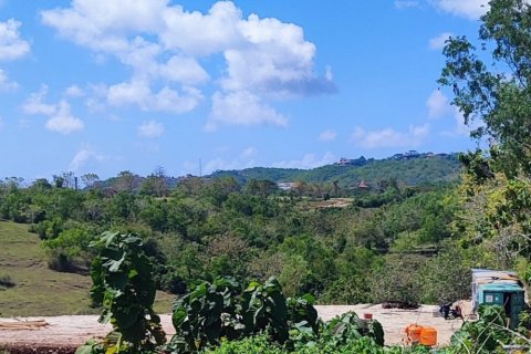 Land in Pecatu, Badung, Indonesia No. 11504 7