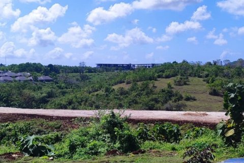 Land in Pecatu, Badung, Indonesia No. 11504 5