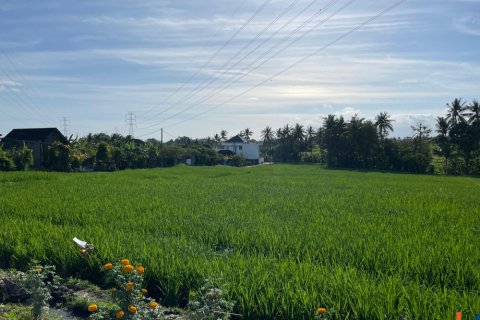 Land in Tabanan, Indonesia No. 11500