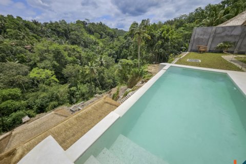 9 bedrooms Villa in Ubud, Gianyar, Indonesia No. 10814 6