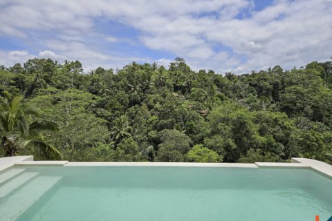 9 bedrooms Villa in Ubud, Gianyar, Indonesia No. 10814 7