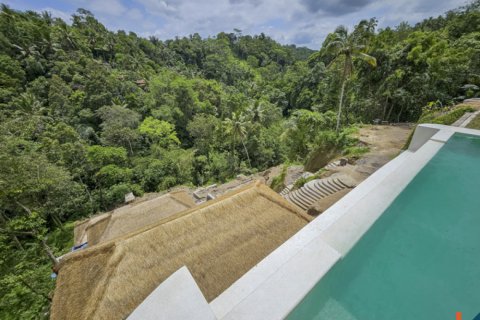 9 bedrooms Villa in Ubud, Gianyar, Indonesia No. 10814 3
