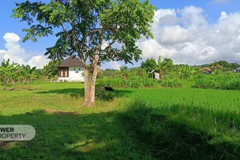 Вилла с 2 спальнями в Karangasem, Карангасем, Индонезия № 13583 7
