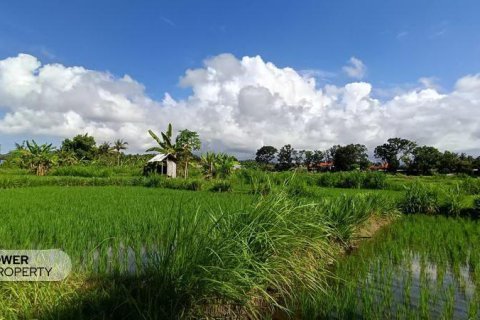 Вилла с 2 спальнями в Karangasem, Карангасем, Индонезия № 13583 18
