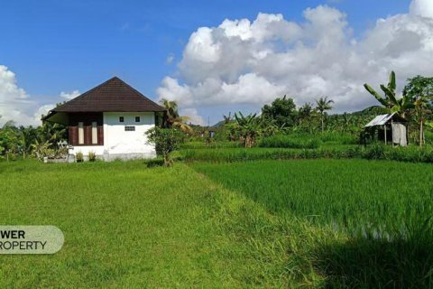 Вилла с 2 спальнями в Karangasem, Карангасем, Индонезия № 13583 9