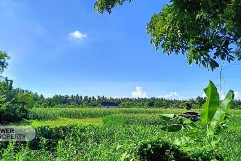 Вилла с 2 спальнями в Karangasem, Карангасем, Индонезия № 13583 11