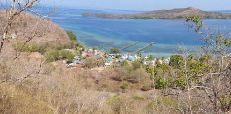 32000m2 Land in Labuan Bajo, West Manggarai, Indonesia No. 260