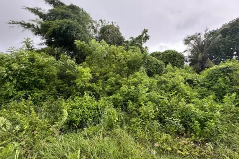 Land in Kuta, Badung, Indonesia No. 10926