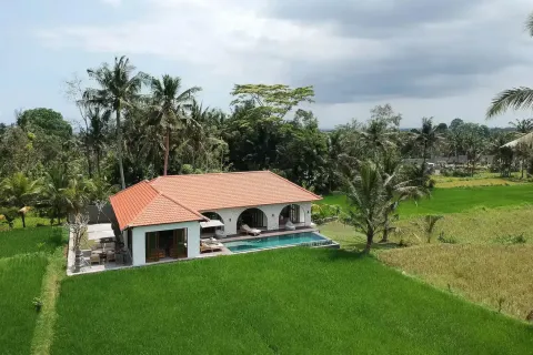 3 bedrooms Villa in Ubud, Gianyar, Indonesia No. 10931