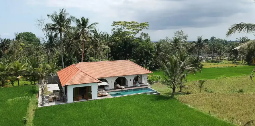 3 bedrooms Villa in Ubud, Gianyar, Indonesia No. 10931