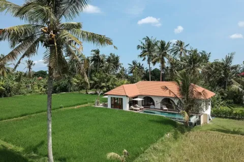 3 bedrooms Villa in Ubud, Gianyar, Indonesia No. 10931 2