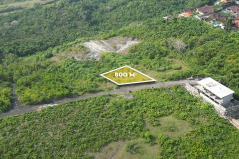 Земельный участок 800м2 в Унгасан, Бадунг, Индонезия № 13485 2