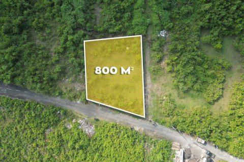 Земельный участок 800м2 в Унгасан, Бадунг, Индонезия № 13485 4