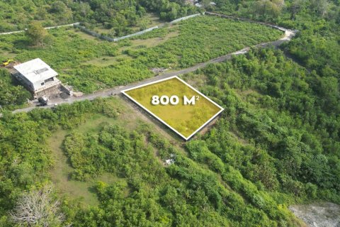 Земельный участок 800м2 в Унгасан, Бадунг, Индонезия № 13485 3